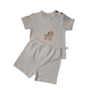 Baby bodysuit set